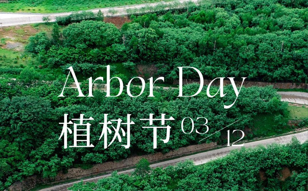 植树节 | XPJ官网的绿色画卷