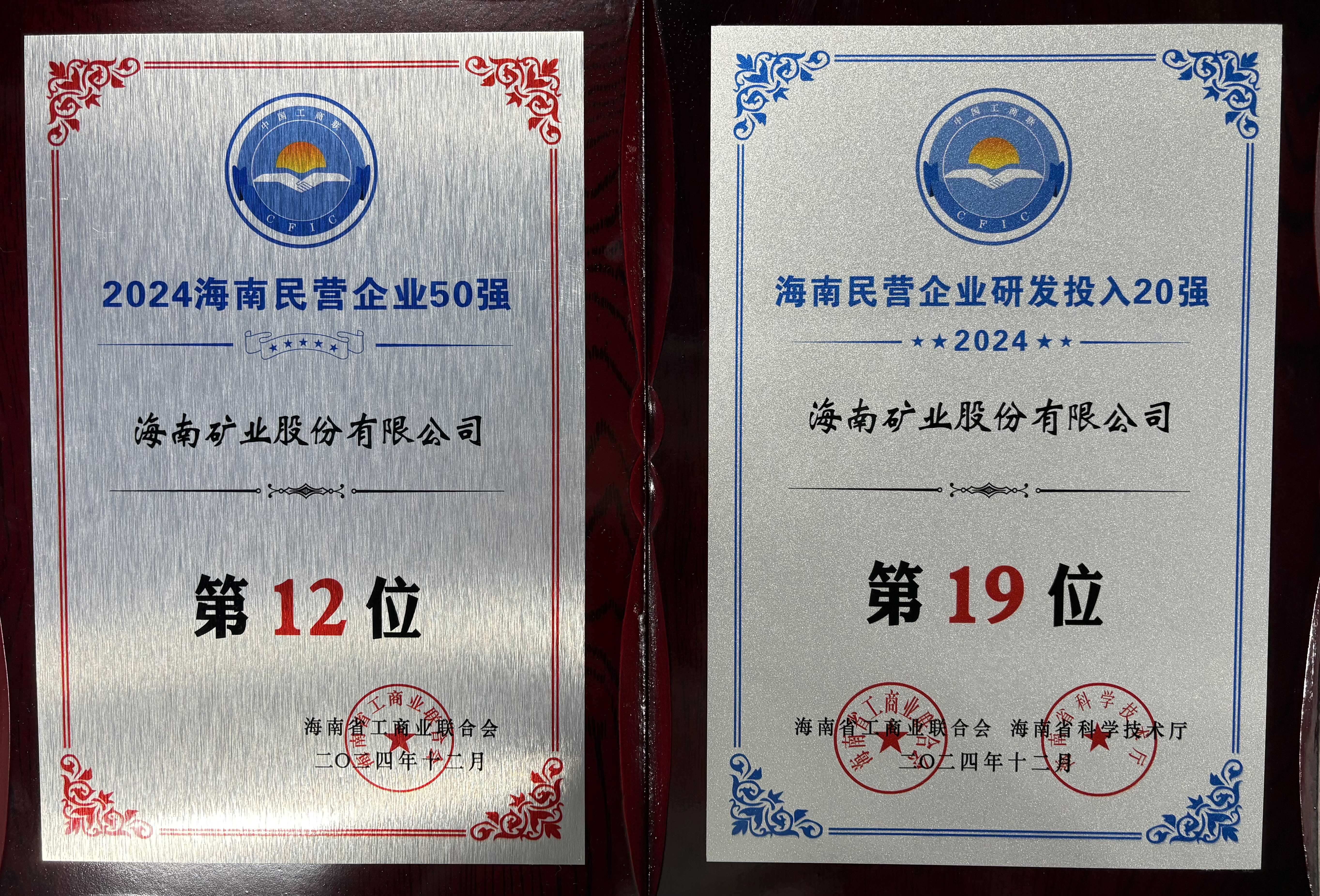 “2024海南民营企业50强”榜单颁布 XPJ官网位列第12位