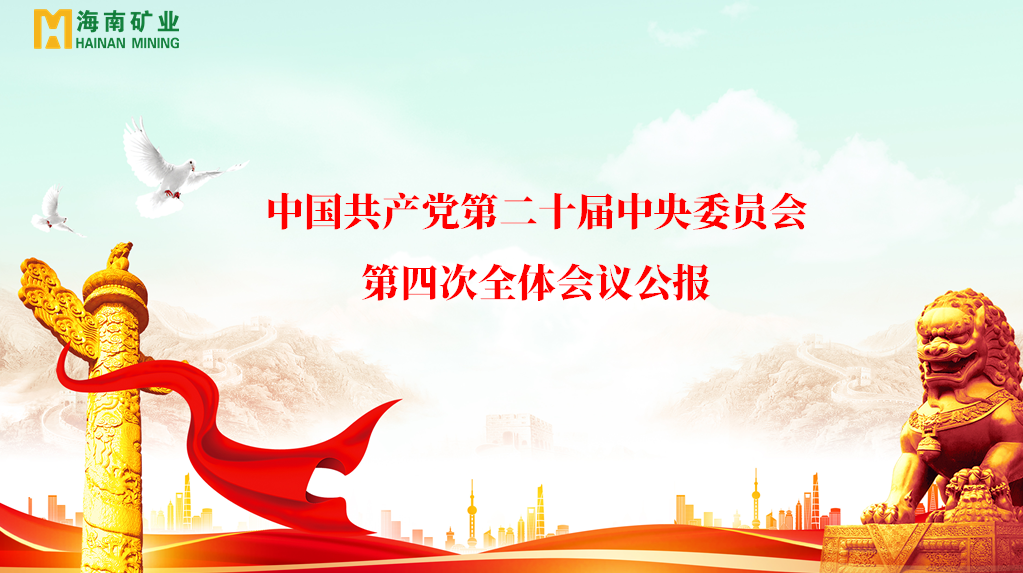 XPJ官网党委进建贯彻党的二十届四中全会心灵